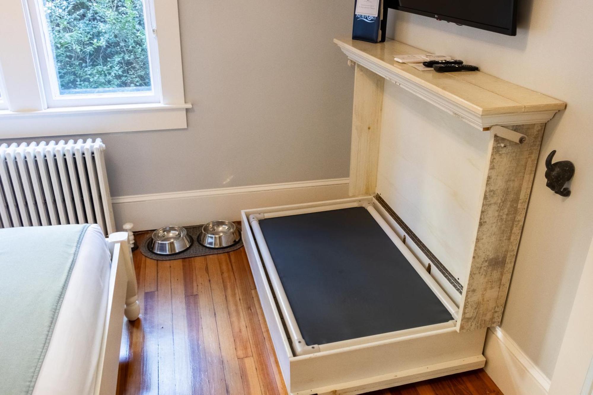 Paws On Pelham (Adults Only) Bed & Breakfast Newport Bagian luar foto