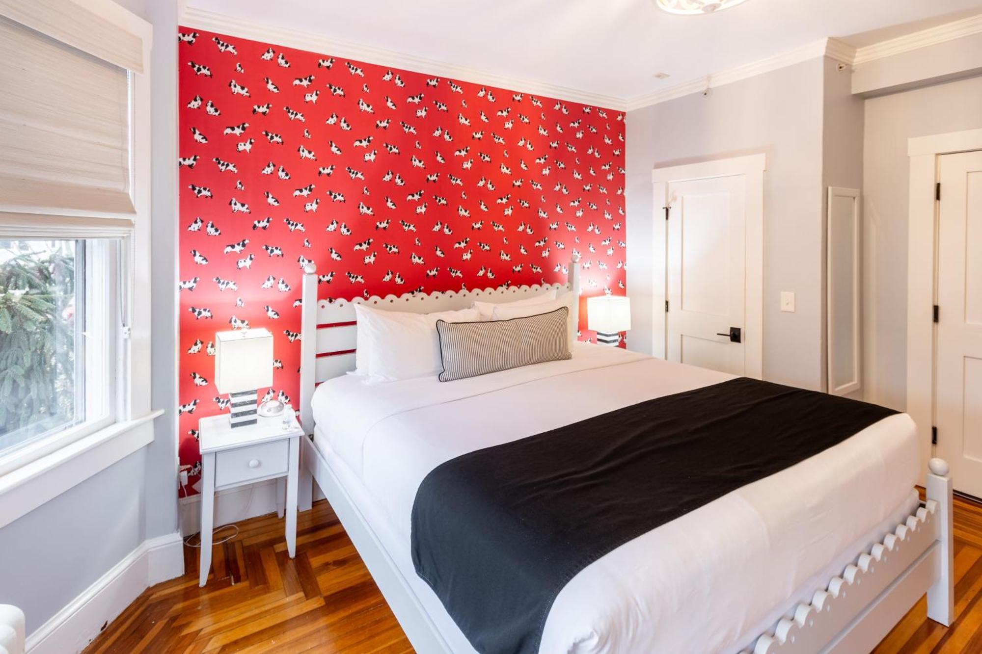 Paws On Pelham (Adults Only) Bed & Breakfast Newport Bagian luar foto