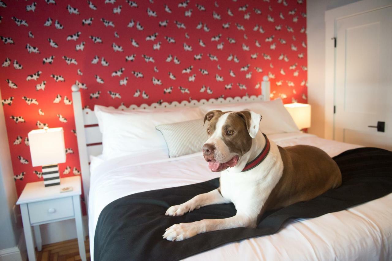 Paws On Pelham (Adults Only) Bed & Breakfast Newport Bagian luar foto